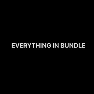The Everything In Bundle